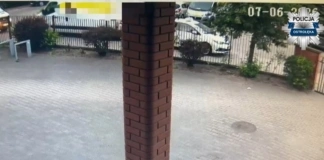 Policja poszukuje świadków zdarzenia 275 253525