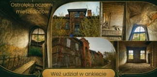 Ostrołęka oczami mieszkańców – kultura, historia, dziedzictwo – ankieta 768x363