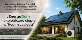 Bezpłatne warsztaty 'EnergoDom – ekologiczne ciepło w Twoim zasięgu” energodom