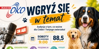 Wgryź się w temat – komunikacja między człowiekiem a psem wgryz sie w temat