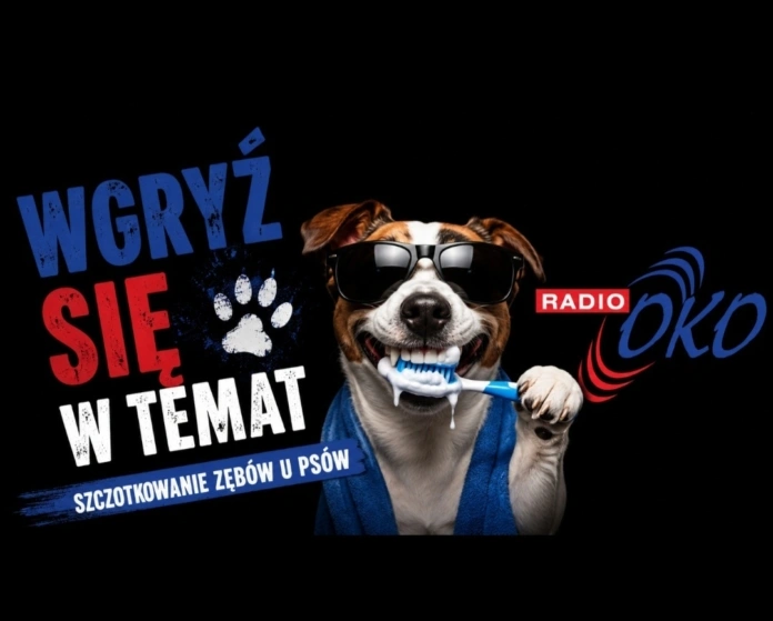 wkryz-sie-w-temat-22.06 wkryz sie w temat 22.06
