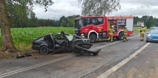 Uderzył samochodem w drzewo 275 254069