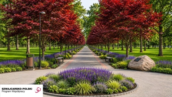 park_miejski_1