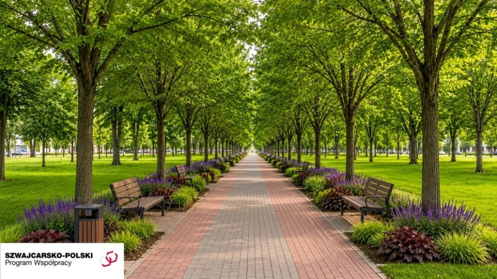 park_miejski_2