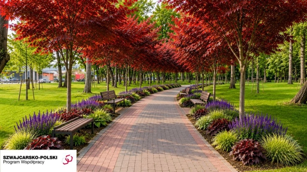 park_miejski_5