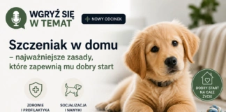 Wgryź się w temat wgryz sie w temat 16_07