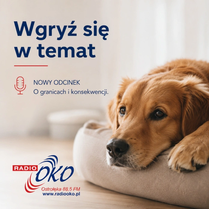 wgryz-sie-w-temat-30-lipca wgryz sie w temat 30 lipca