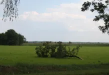 Wyjątkowo trudny weekend dla strażaków 20211022_wiatr