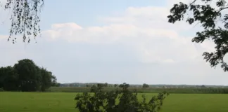 Wyjątkowo trudny weekend dla strażaków 20211022_wiatr