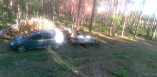 Fotopułapka nagrała złodziei drewna z lasu 271 257285