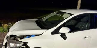 Pijana zderzyła się z autobusem 286 258564