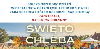 Festyn rodzinny 'Święto Chleba” 784962667_1525777509562545_2295459162816246709_n