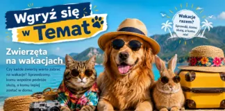 Wgryź się w temat – Wakacje z pupilem – zabrać czy zostawić w domu? file_000000009a74820ab741bce1fe6773bc