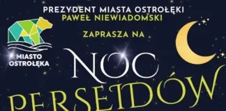Noc Perseidów na miejskiej plaży w Ostrołęce noc perseidow