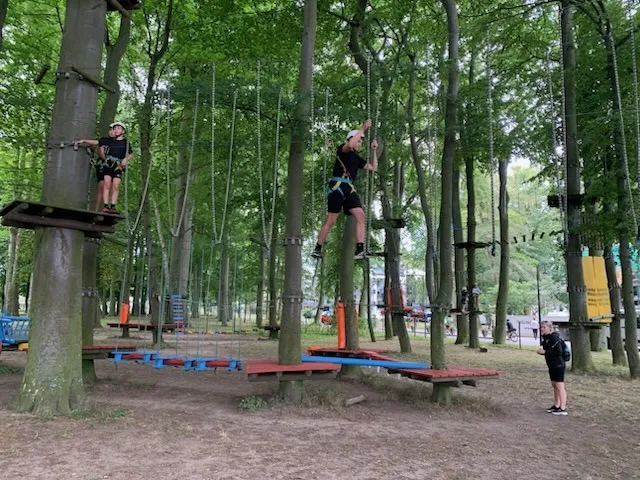 plino