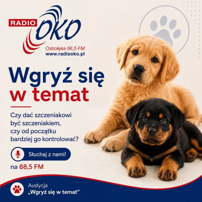wgryz_sie_w_temat_radio_oko-1- wgryz_sie_w_temat_radio_oko 1