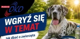 Wgryź się w temat – Lato z pupilem – jak zadbać o bezpieczeństwo zwierząt w upalne dni? wgryz_sie_w_temat_radio_oko
