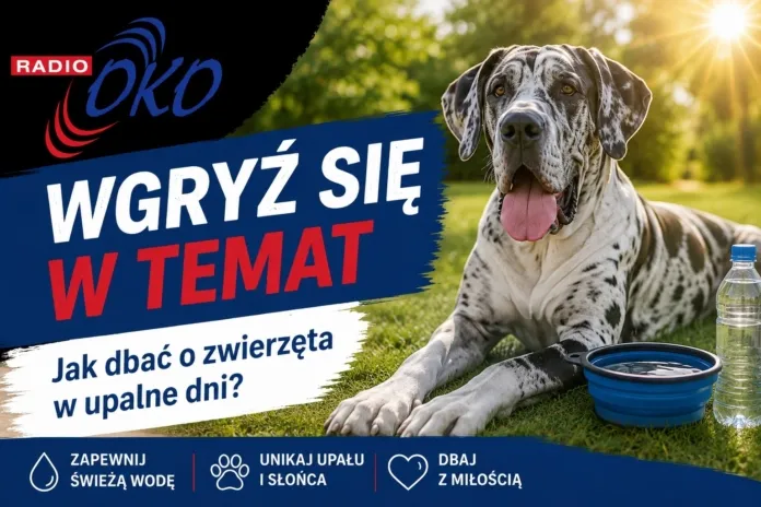 wgryz_sie_w_temat_radio_oko