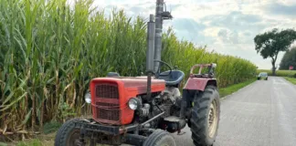 Złodziej ciągnika ukrywał się w szopie pod arkuszem blachy 271 260129