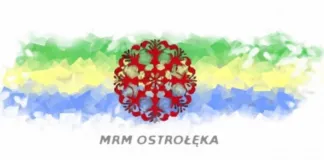 IV sesja Młodzieżowej Rady Miasta Ostrołęki 768x363