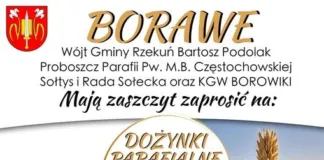 Dożynki w Borawem 802505143_1491803922974757_3715088457666199234_n