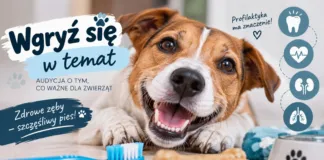Wgryź się w temat image000000tt