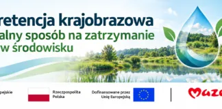 Mała retencja krajobrazowa – naturalny sposób na zatrzymanie wody w środowisku mala retencja