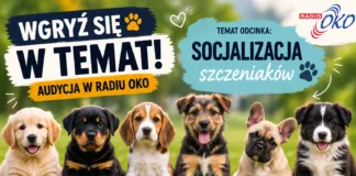 ’Wgryź się w temat” – temat: socjalizacja wgryz sie w temat 0309