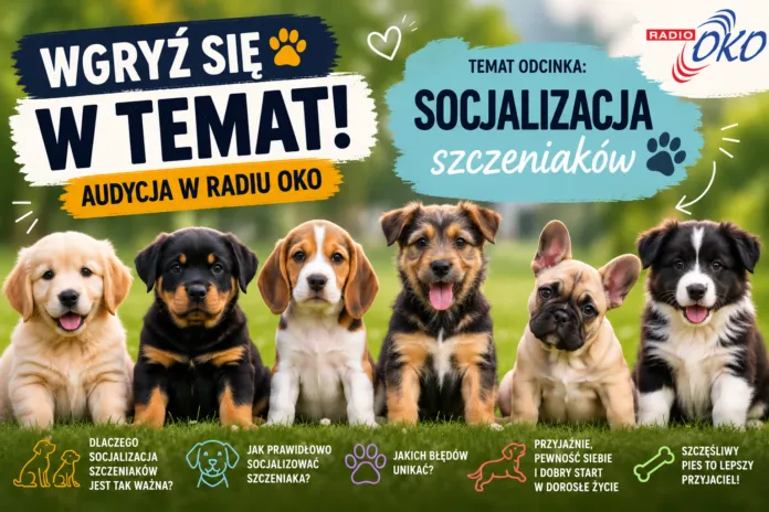 wgryz sie w temat 0309