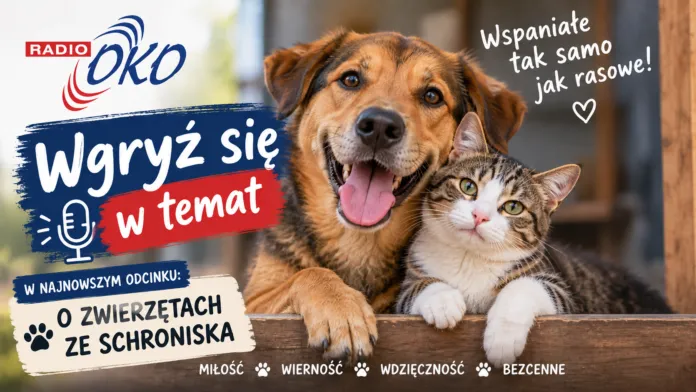 wgryz sie w temat 10.09