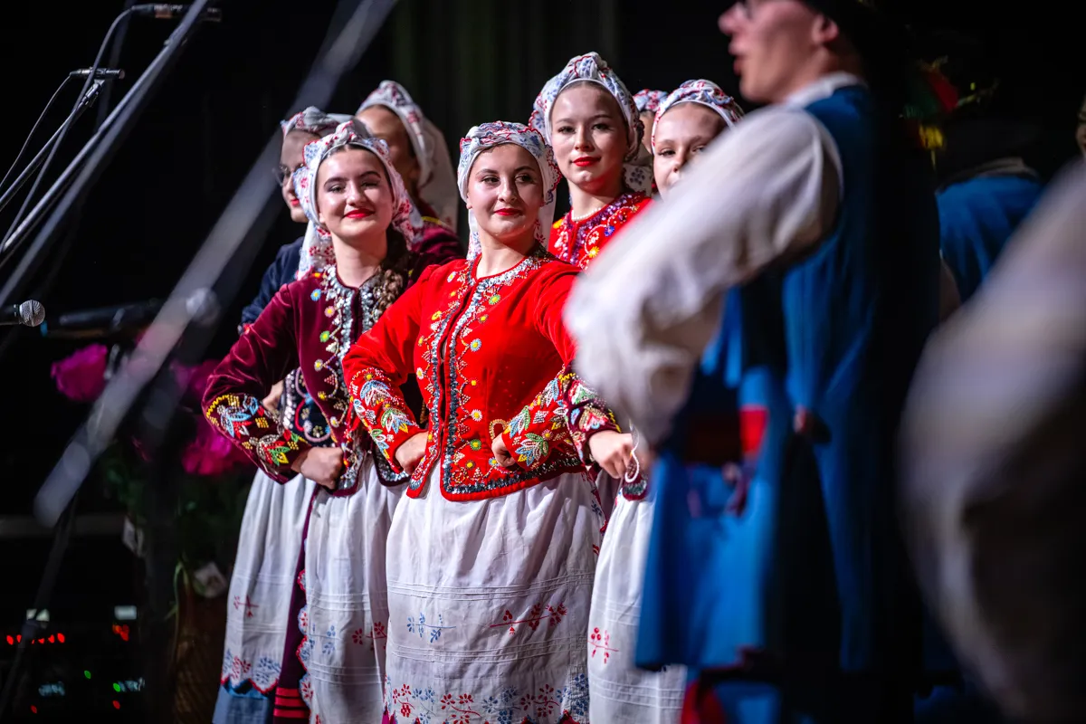 12008pkt krupek 0304