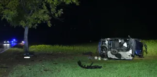 Pięć osób trafiło do szpitala – groźny wypadek w Nowym Sielcu 286 262083