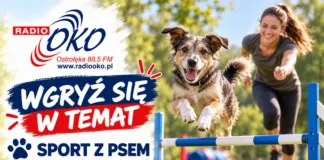 Wgryź się w temat wgryz sie w temat 15.10